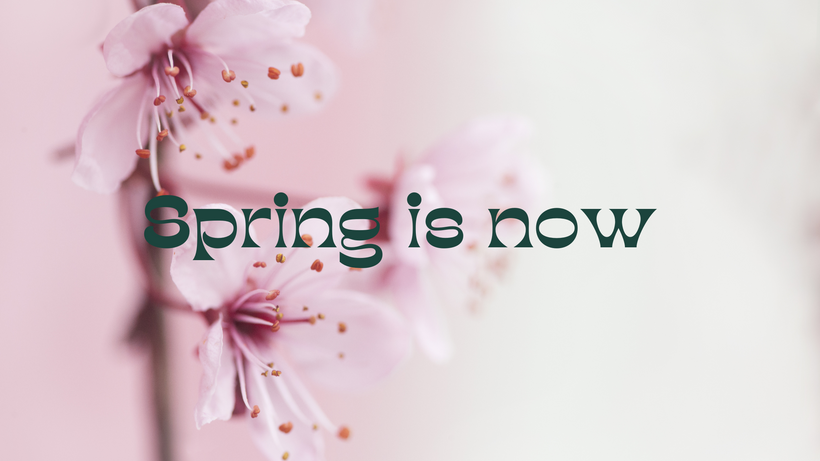 Spring is now